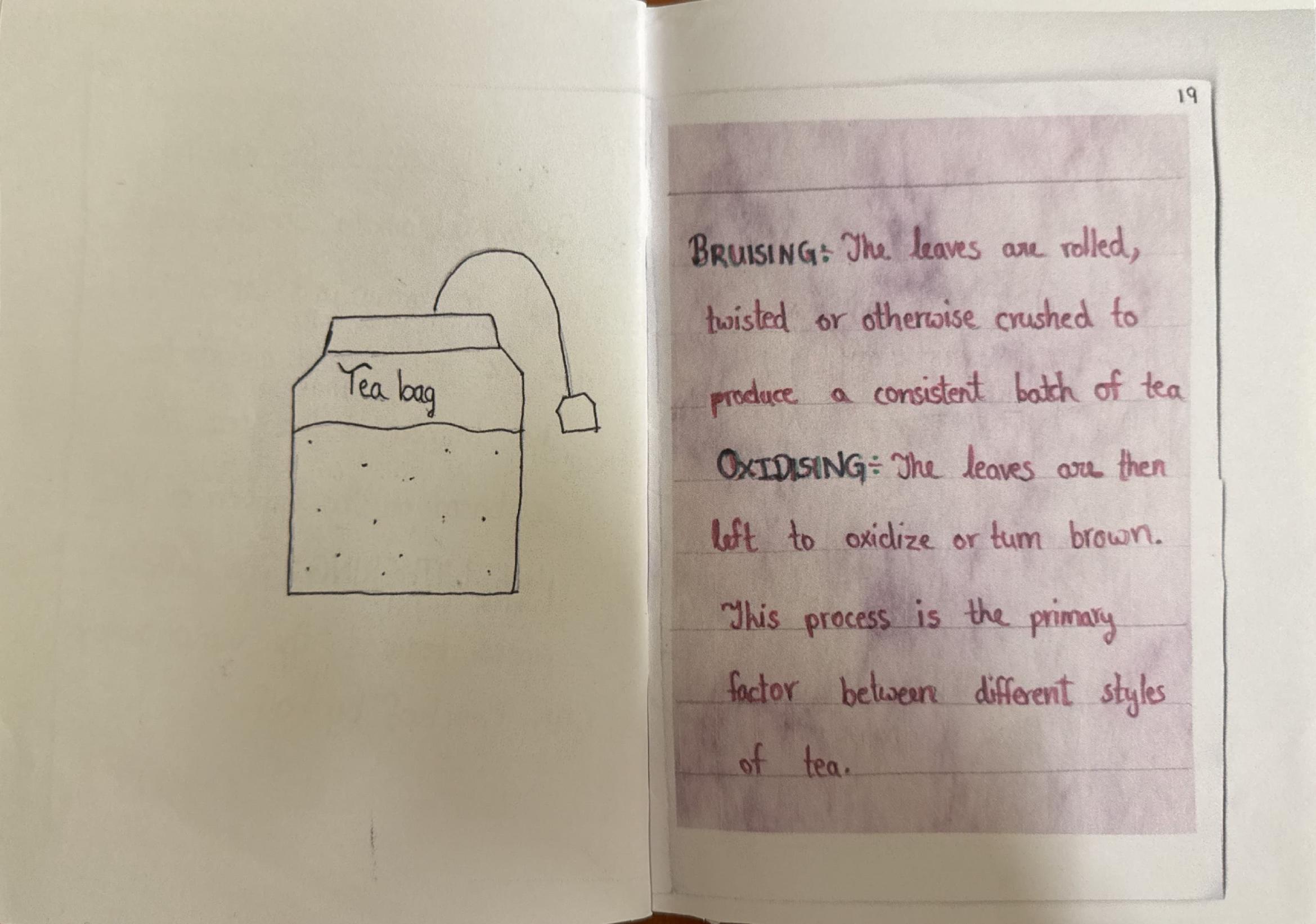 A tea bag, and the bruising and oxidising stages of tea processing